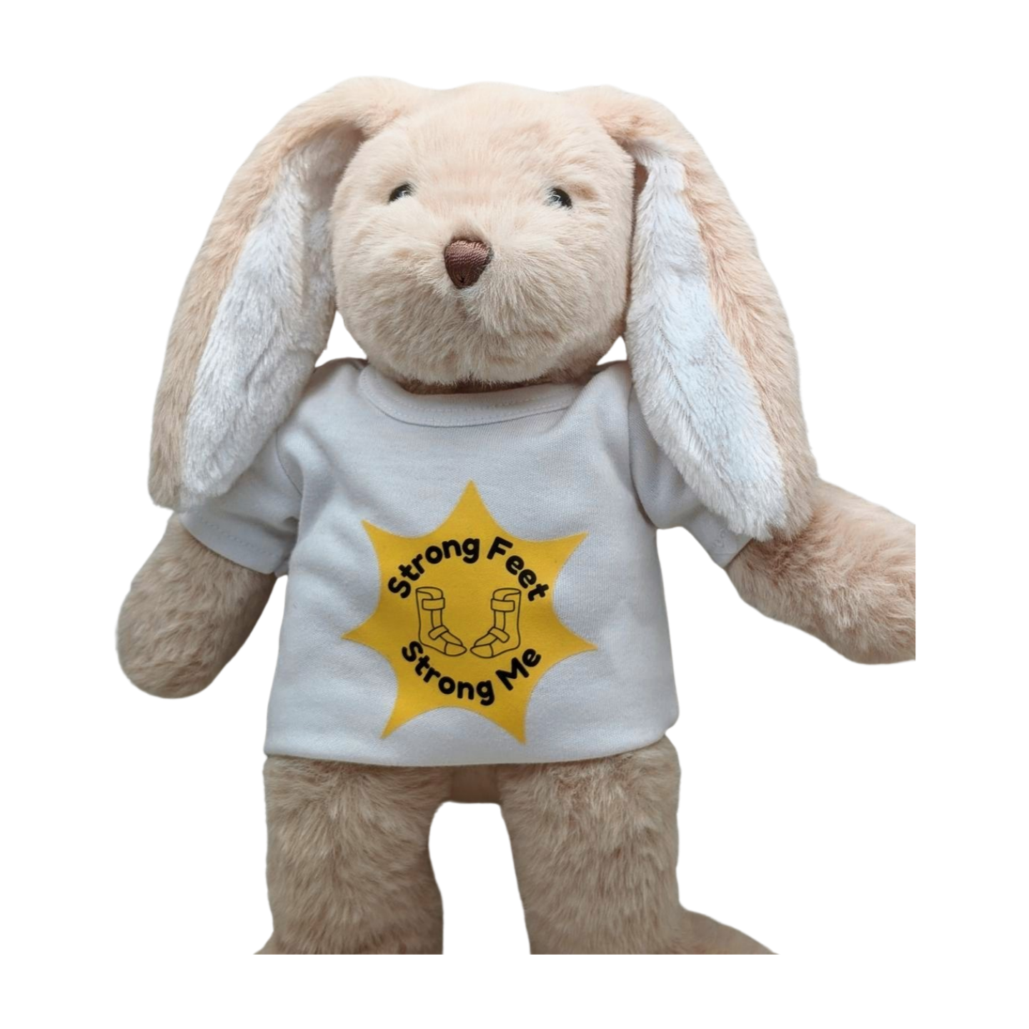 Stuffed Bunny with Purple SMOs