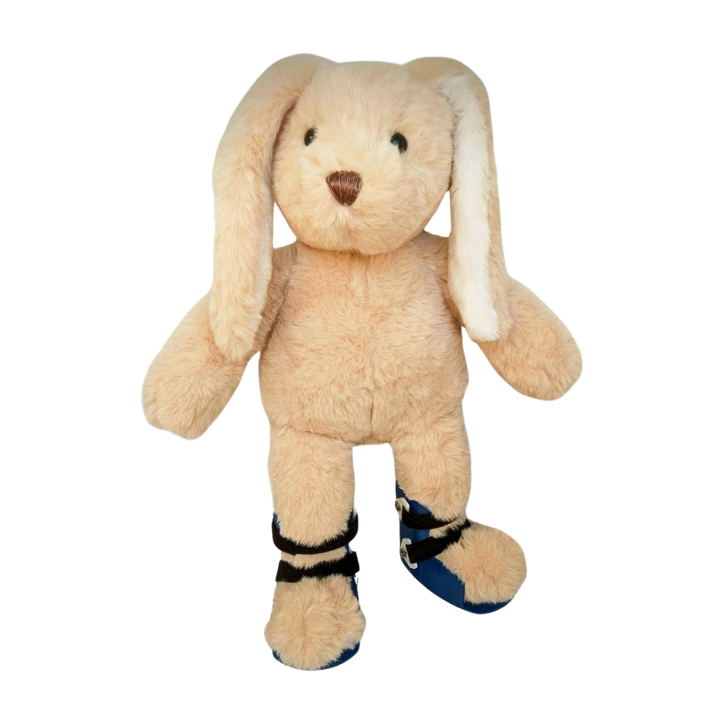 Stuffed Bunny with Blue AFOs