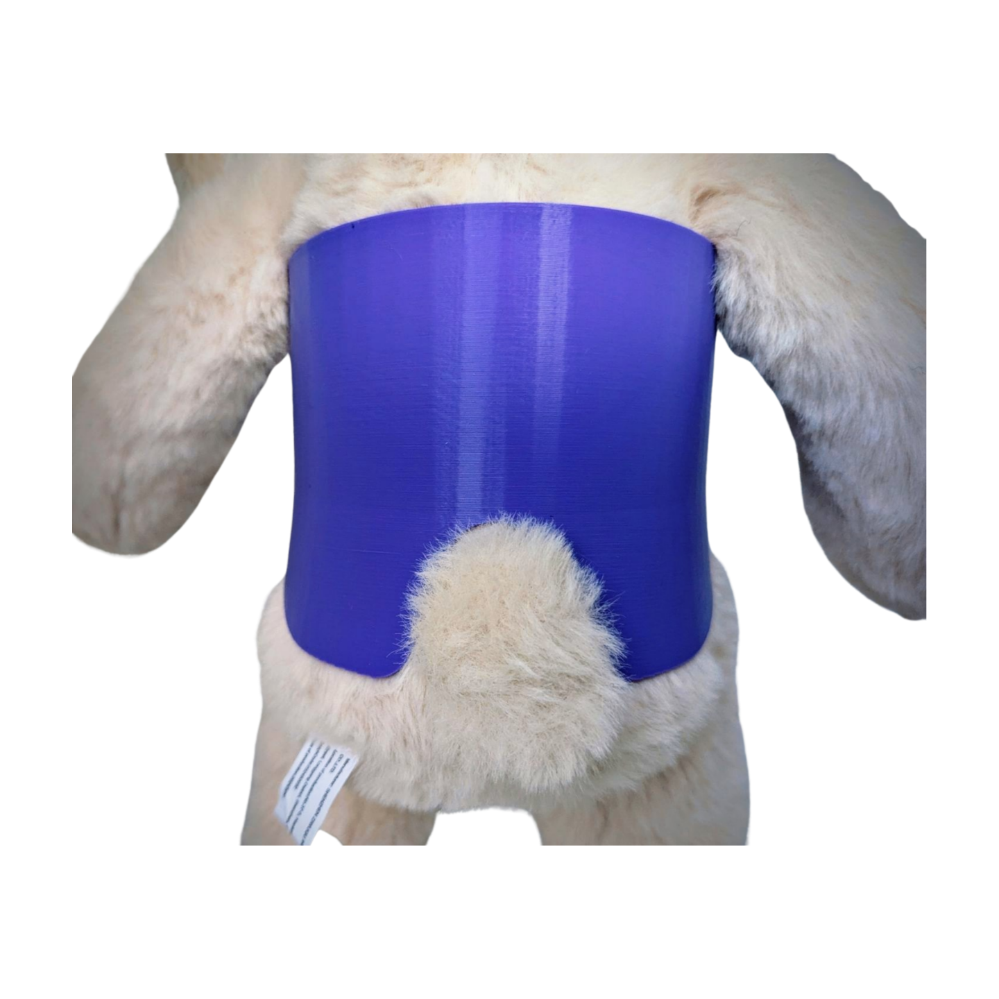 Stuffed Bunny with Purple Scoliosis Brace