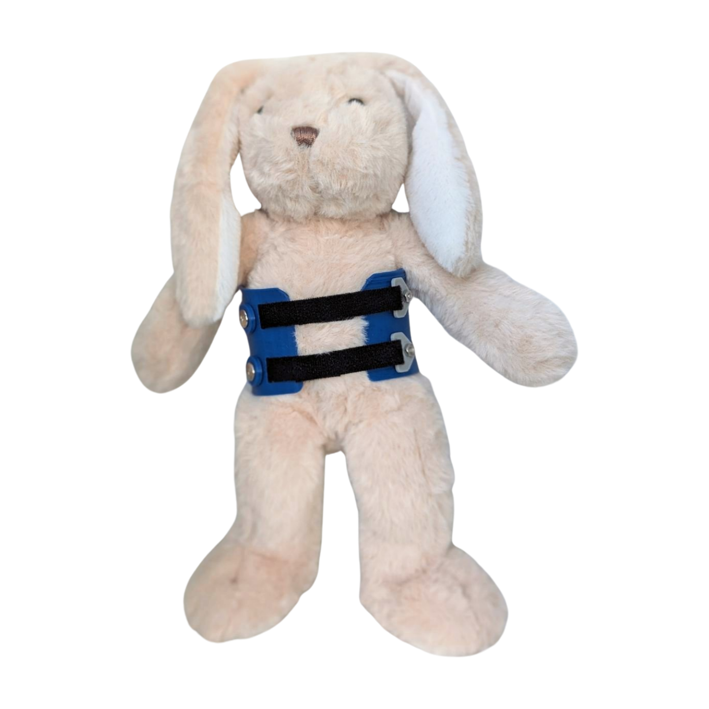 Stuffed Bunny with Blue Scoliosis Brace