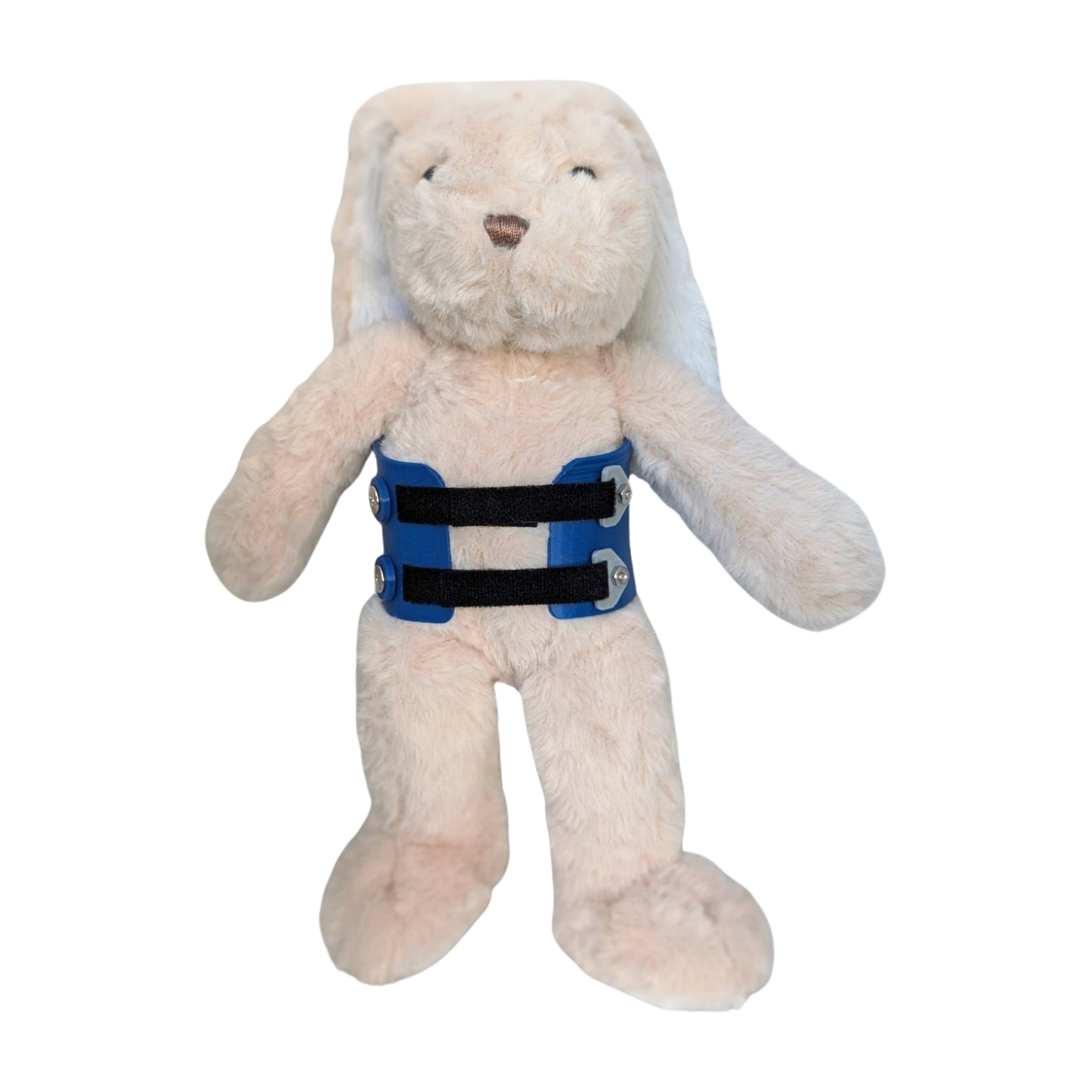 Stuffed Bunny with Blue Scoliosis Brace