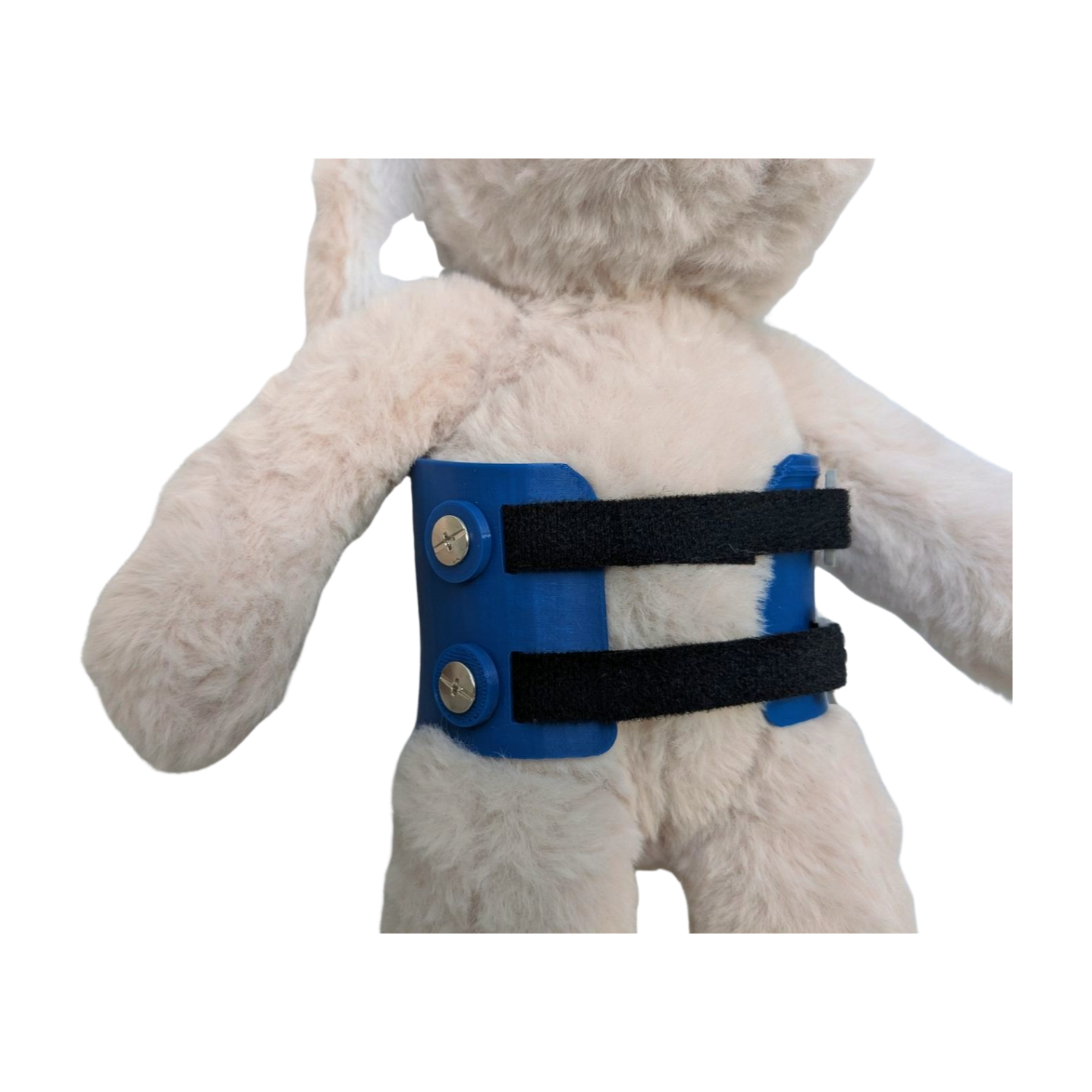 Stuffed Bunny with Blue Scoliosis Brace