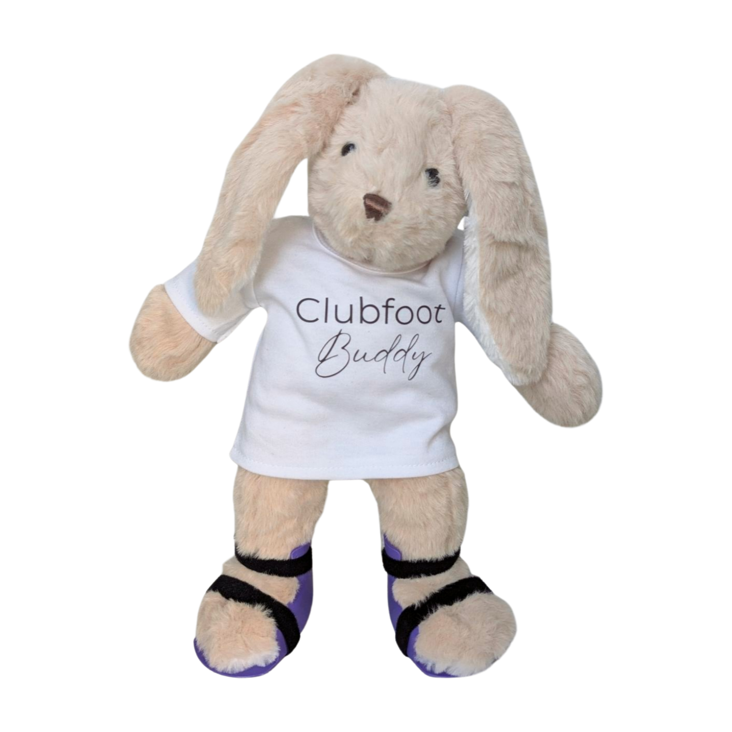 Purple Clubfoot Bunny