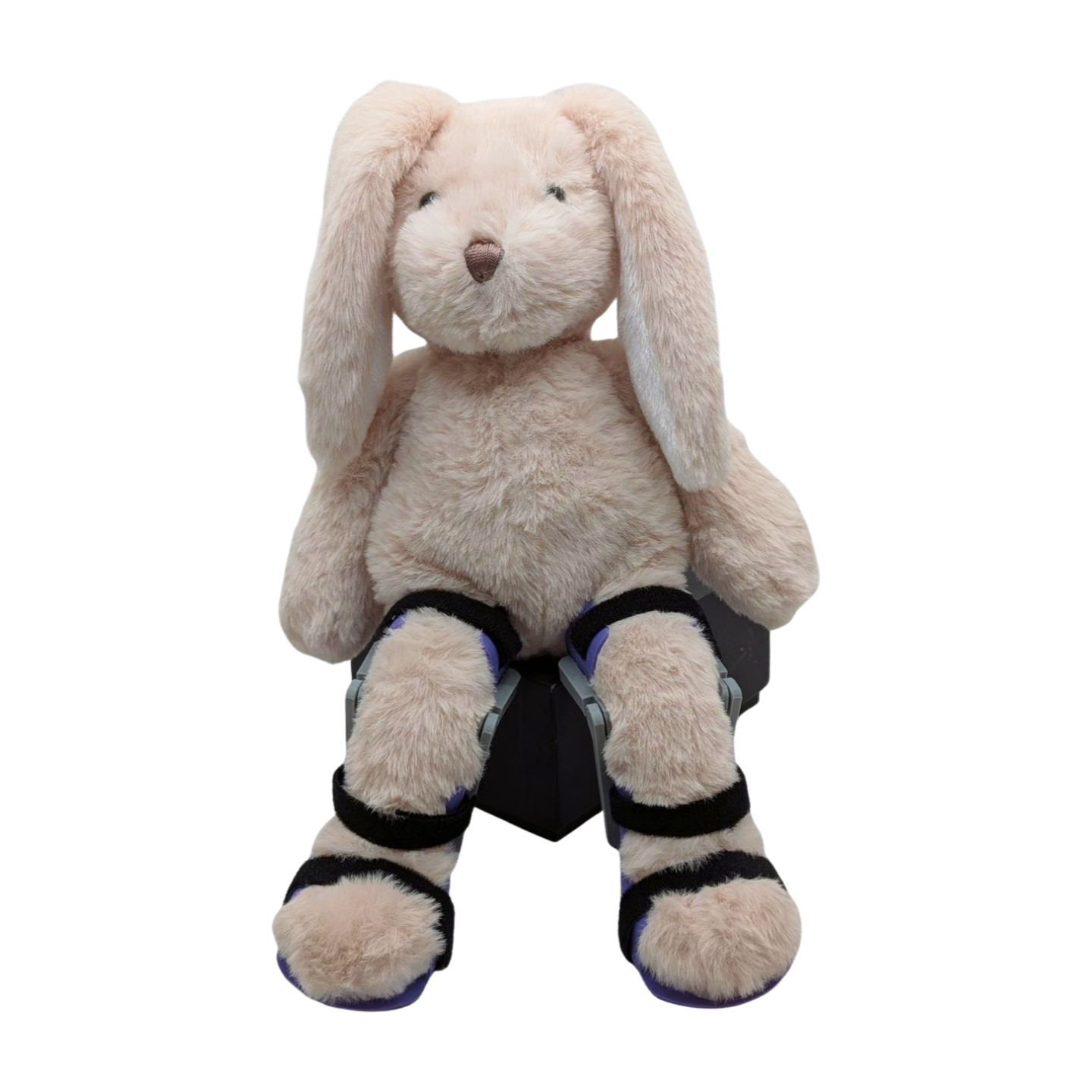 Stuffed Bunny with Purple KAFOs