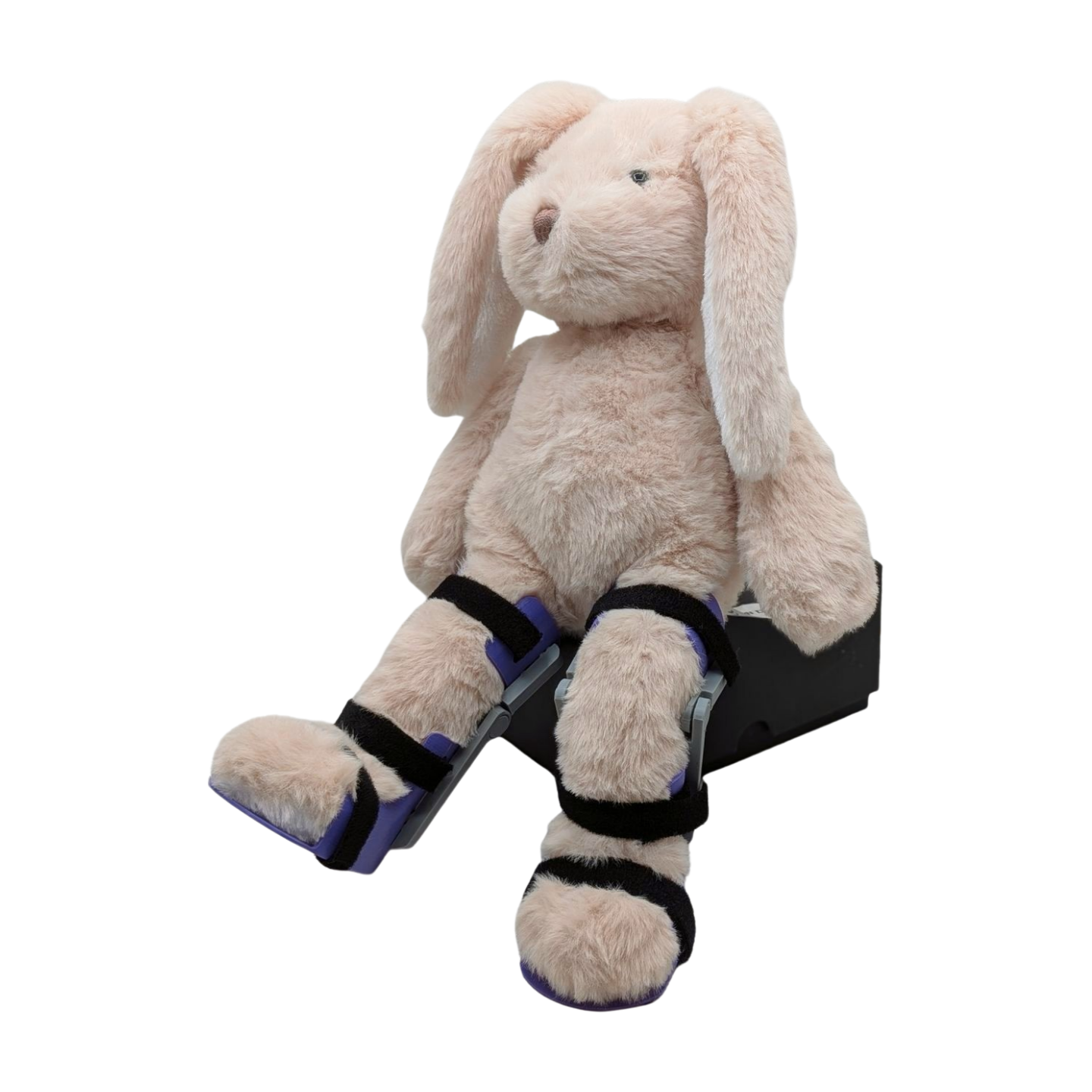 Stuffed Bunny with Purple KAFOs